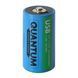 Акумулятор Quantum Li-ion USB D 1.5V, 5200mAh plastic case (шт) 1473 фото 2